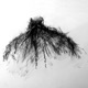 I Know The Mothman Single