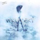 Vervloekt feat Bobby Taylor Single