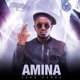 Amina Single