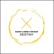 Destiny Single