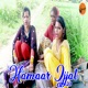 Hamaar Ijjat Single