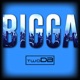 Bigga Single