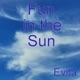 Fun in the Sun Single