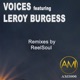 Voices ReelSoul Remixes Single