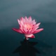 5 Minute Meditation Chill Single
