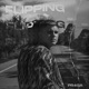 Flipping Single