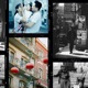 Love Will Stay Single