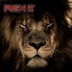 Push It feat Chucky Single
