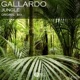 Jungle Single