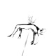 Cortisol spike Single