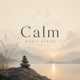 Calm Music Series