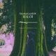 Baloi feat Fingerr Single