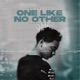 ONE LIKE NO OTHER CHAPTER 2