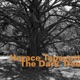 The Dark Tree Live feat John Carter Cecil McBee Andrew Cyrille