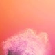 Luv Tonight Single