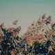 softly warming up Single