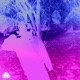 Hol Ma Back feat JCapo Single