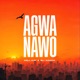 Agwa Nawo Single