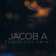 Zagoniony świat Radio Edit Single