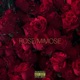 Rose Mimose feat DnD Records Single