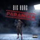 Paranoia Single