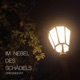 Im Nebel des Schädels feat Vst Single