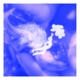 Mantra feat chispy Single