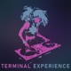 Terminal Experience