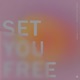 Set You Free Moods Remix Single