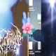 Wallflower Single