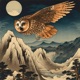 Night Owl Single