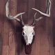 Hang My Head On Your Wall feat Gabrielknowseverything Single