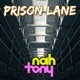 Prison Lane From Sonic Adventure 2 Cover Version Single