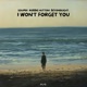 I Won t Forget You Single