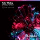 Shining Horizon Single