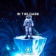 In the Dark Single