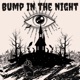 Bump In the Night Single