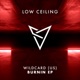 BURNIN Single