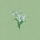 Gracious Lord feat Skye Peterson Single