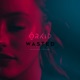 Wasted Acoustic Version Single