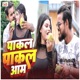 Paakal Paakal Aam Single