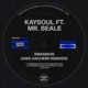 Swanskin Anis Hachemi Remixes feat Mr Beale Single