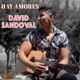 Hay Amores Single