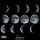 Moonwalkin feat Lil Dizz Single