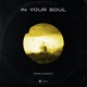 In Your Soul Single