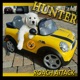 Roach Attack Single