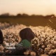 In Gratitude Single