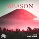 Reason Single
