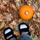 Pumkin II Single