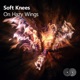 On Hazy Wings Single